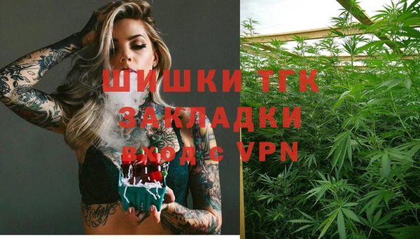 шишки Магас
